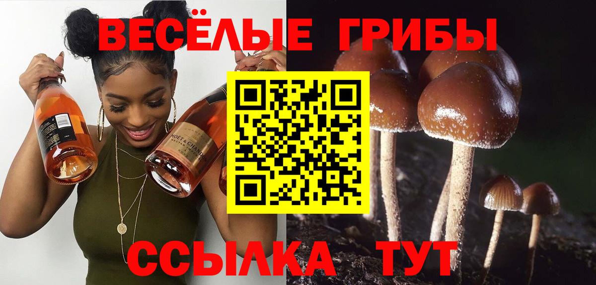 хочу   Галлюциногенные грибы мухоморы  Вход с VPN  Галлюциногенные грибы Magic Shrooms  Сафоново 